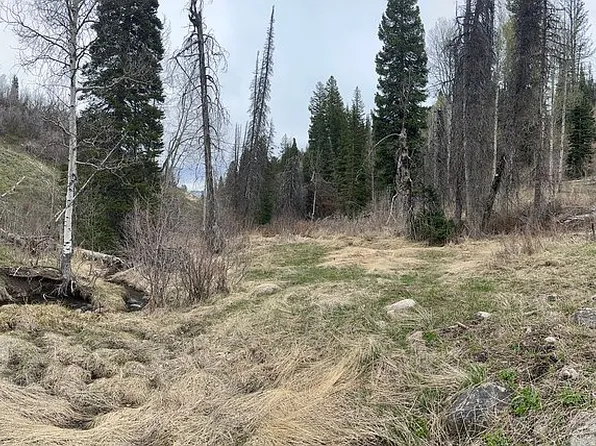 2183 S Forest Meadow Rd, Coalville, UT 84017