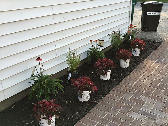 Plants/walkway installed '16