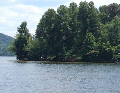 Block 15 Didodi Tr Lot 29, Vonore, TN, 37885