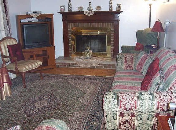 Wood burning fireplace