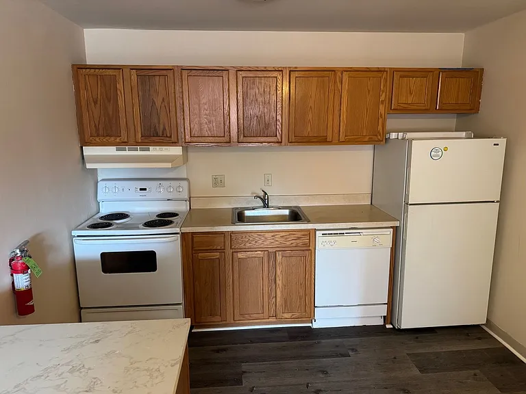 203 E Chestnut Street — Photo 14