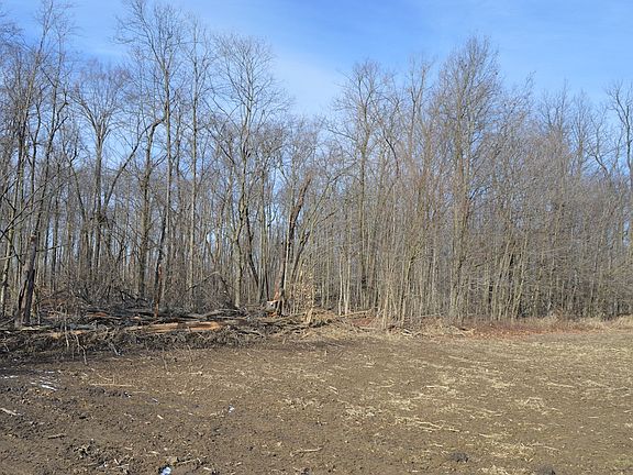 East edge of woods