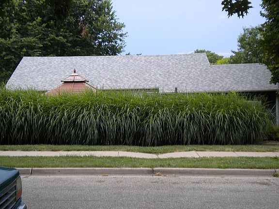 5th image of 3335 Van Dorn St