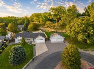 960 Willow Wood Lane, Delta, CO 81416