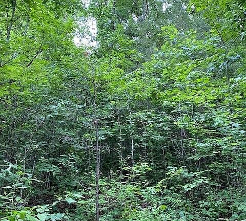 3rd image of 27 Highway 134 Lot 27