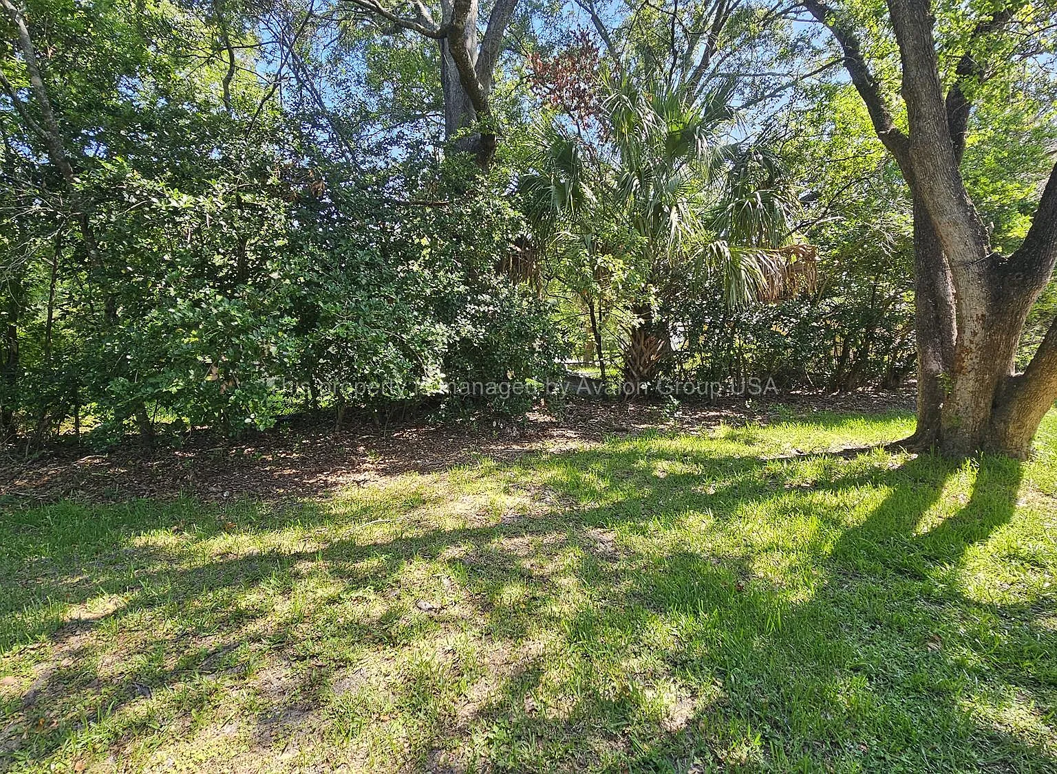 3 bed, 1095 sqft, $1,325 — Photo 2