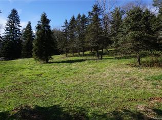 0 County Rd, Waynesville, NC 28785