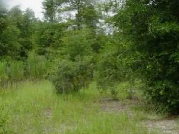 422 SW Bucchi Gln, Fort White, FL 32038