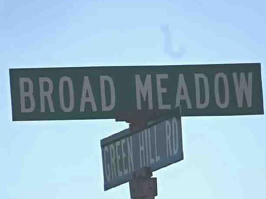 2nd image of 502 Broad Meadow Dr
