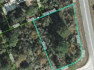 101 Hayes Ave NE, Lake Placid, FL 33852