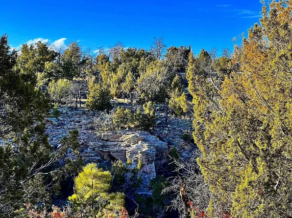 0 Cals Pl, Pinehill, NM 87357