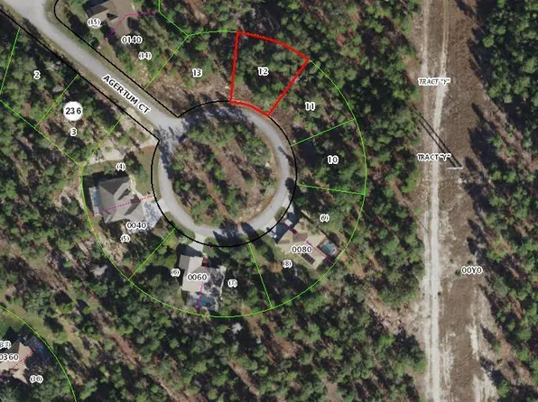 25 Ageratum Court, Homosassa, FL 34446