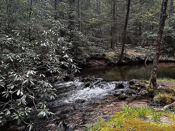 5th image of 844 Lingle Valley Rd