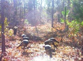 19 Maddox Rd, Marianna, FL 32448