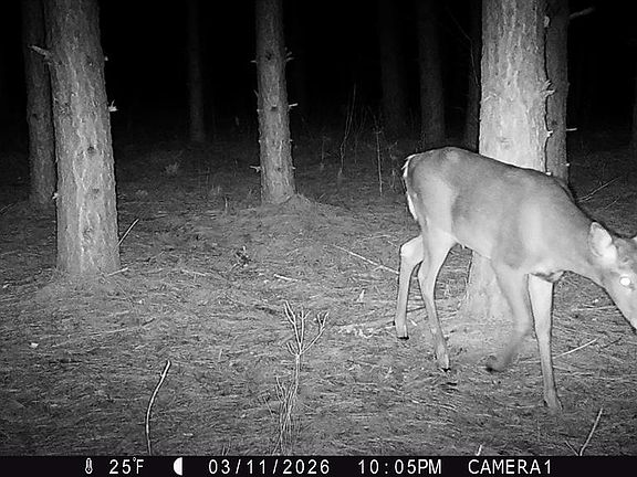 4th image of TBD 20 Acres 630th Street