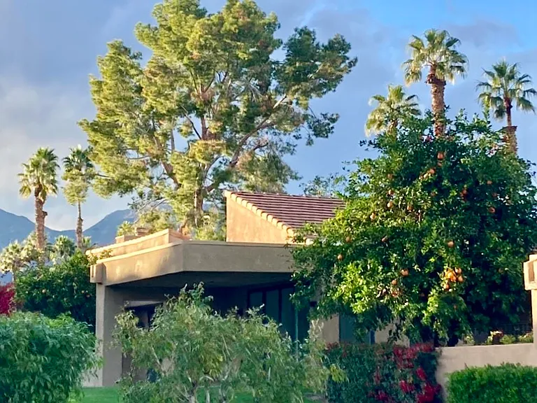 73323 Boxthorn Ln — Photo 1