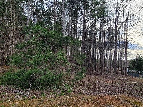 3rd image of 0 Cedar Circle