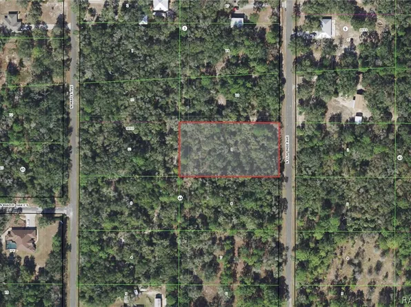 8470 N Elmtree Ave, Crystal River, FL 34428