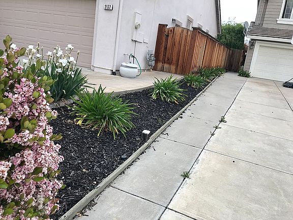 Plants little/no maintenance