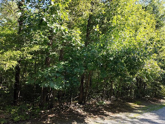 5th image of 1903 Tree Tops Ln