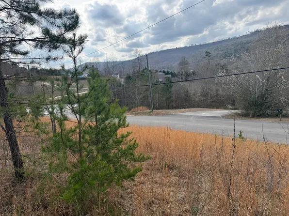 10 Tanglewood Trl, Trenton, GA 30752