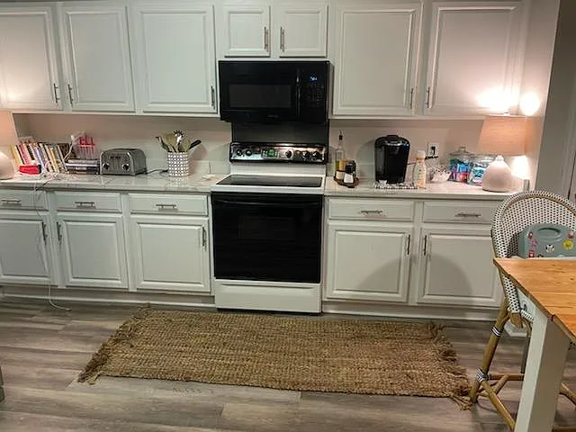 1248 Wild Olive Dr — Photo 4