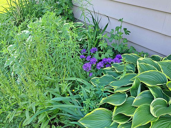 5th image of 220 Clark St