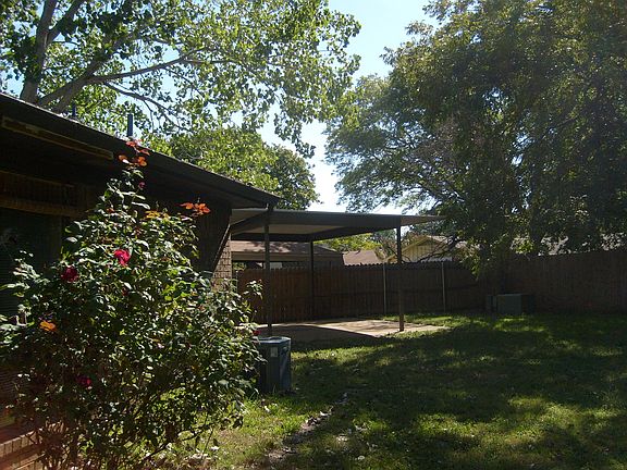back yard