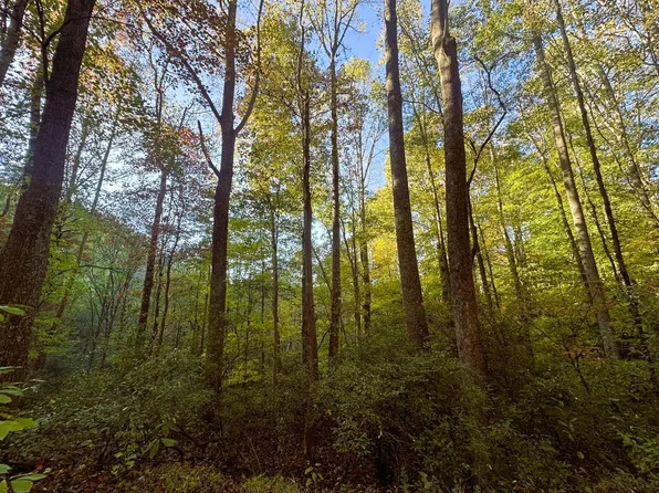 0 Lb Elliot Rd, Weston, WV 26452