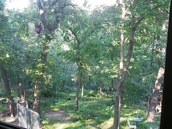 View from Living room