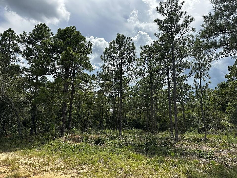 2nd image of 0 Highway 41
