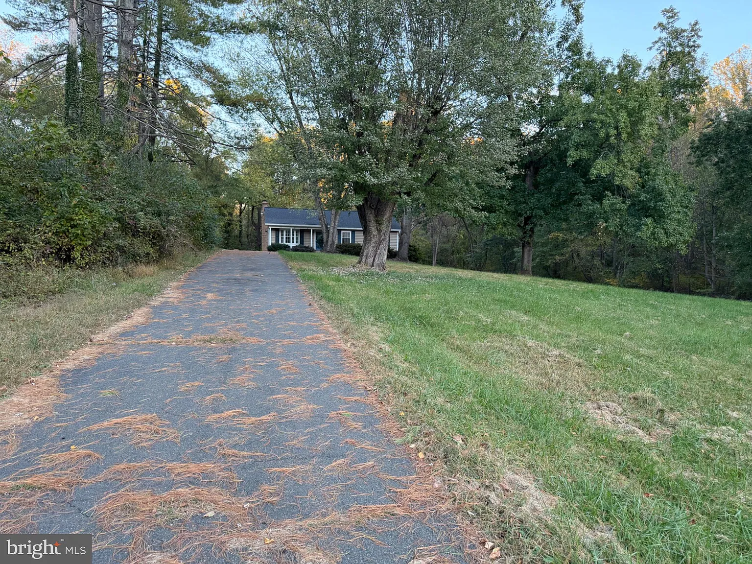 4 bed, 3.0 bath, 1812 sqft, $3,400 — Photo 3