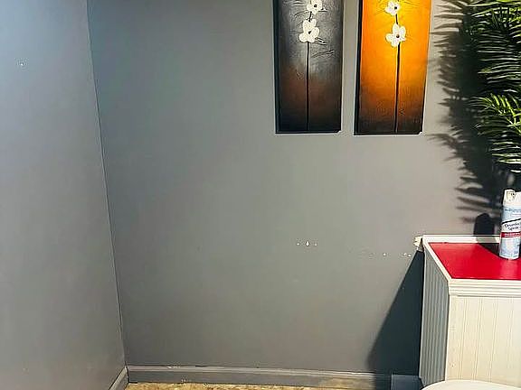 5th image of 314 Chestnut St