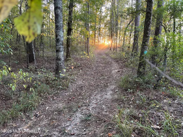 1 Simpson Rd, Pickens, MS 39146