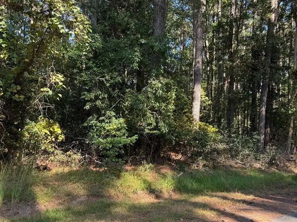 LOT 870 Broadside Dr, Greenbackville, VA 23356