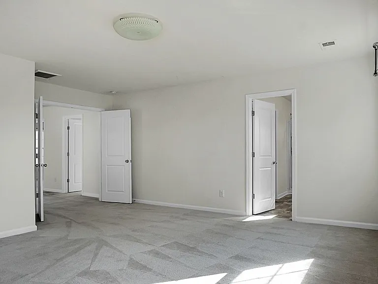 215 Catawba Branch Way — Photo 26