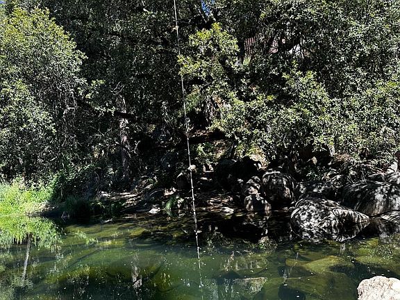 3rd image of 14745 River Trl