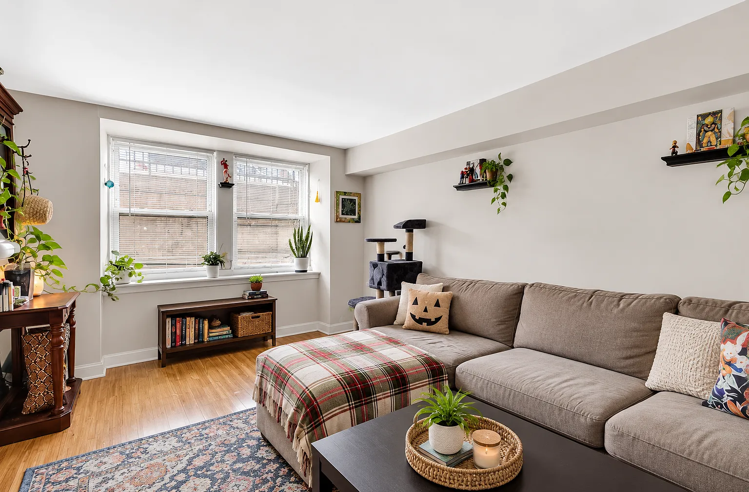 1 bed, 600 sqft, $1,350 — Photo 1