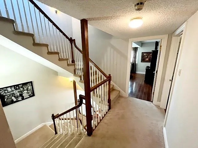 323 Morgan St #2B — Photo 16