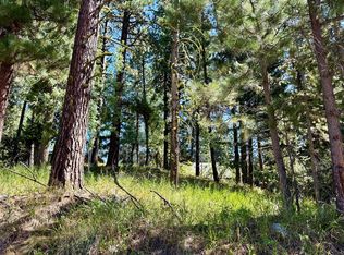 699 N Samson Trl, McCall, ID 83638