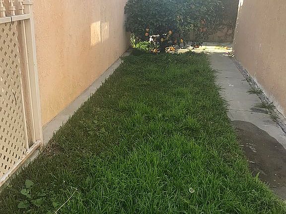5th image of 4189 Mandalay Dr