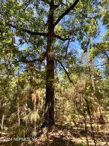 36684 DYAL Road, Callahan, FL, 32011