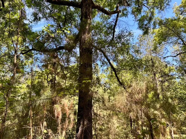 36684 DYAL Road, Callahan, FL 32011