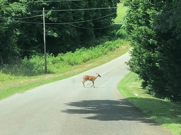 4770 Montford Rd, Pfafftown, NC 27040