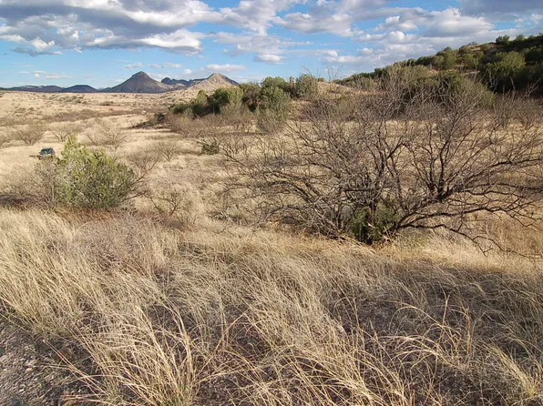 LOT D Stevens Canyon Rd #1, Patagonia, AZ 85624