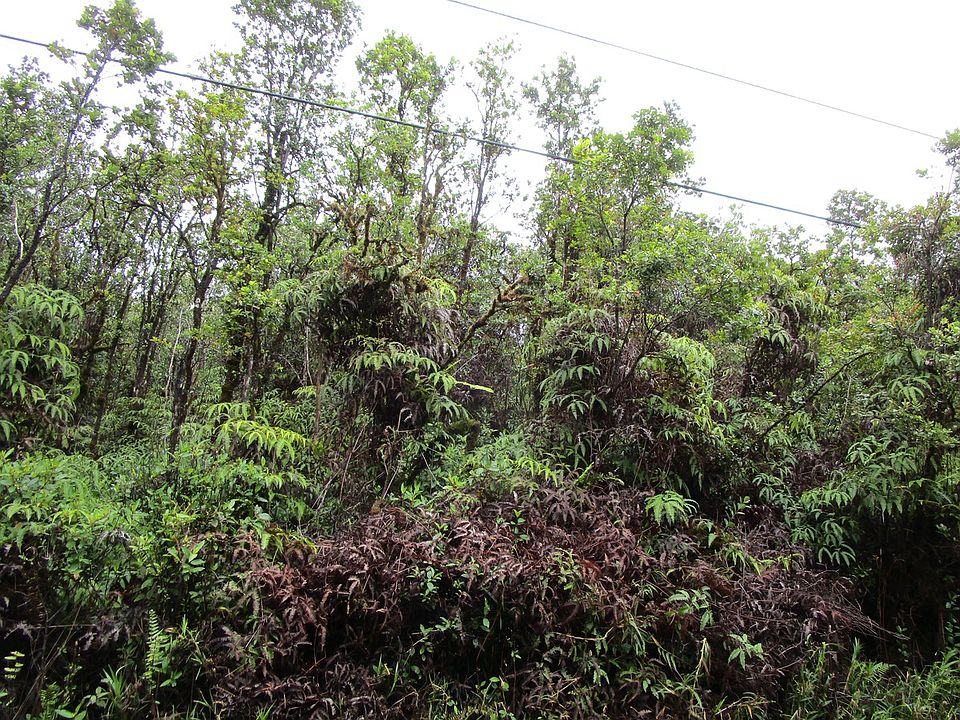2nd image of Manini Cir Lot 9