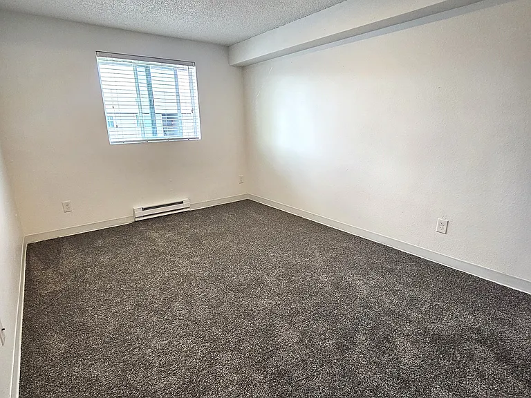 Chandelle Apartments — Photo 6