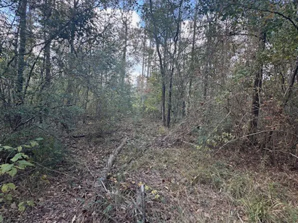 Orville Rd, Ragley, LA 70657