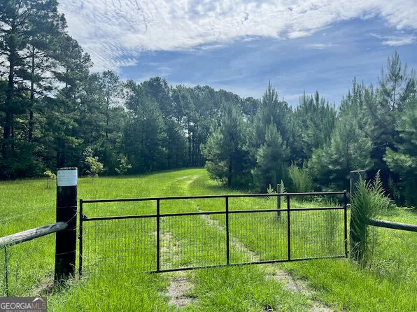 7660 Mitchell Warrenton Rd, Mitchell, GA 30820