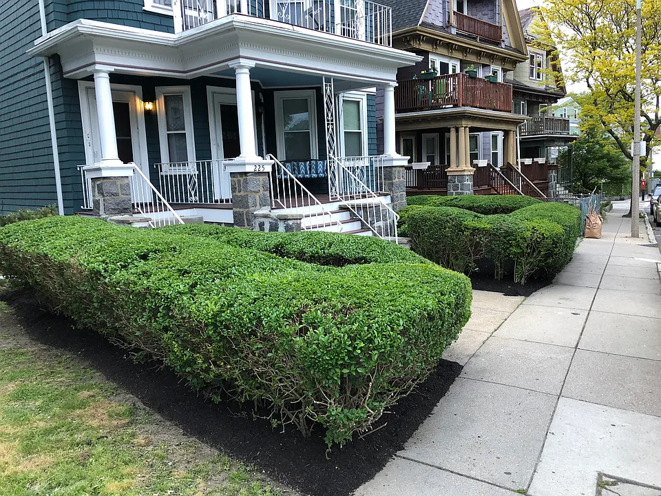 225-225A Walnut Ave #3